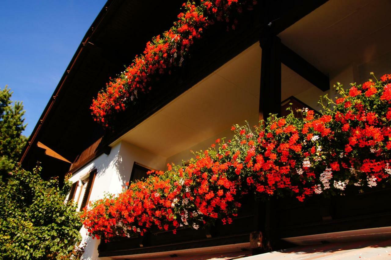 Pension Appartement Santl Anterselva di Sotto Экстерьер фото